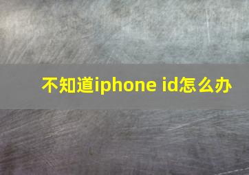 不知道iphone id怎么办